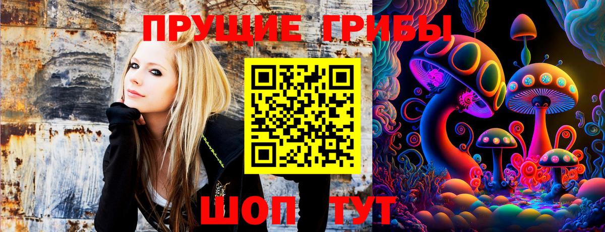 Кинель  Псилоцибиновые грибы MAGIC MUSHROOMS  Вход с VPN  Галлюциногенные грибы прущие грибы 